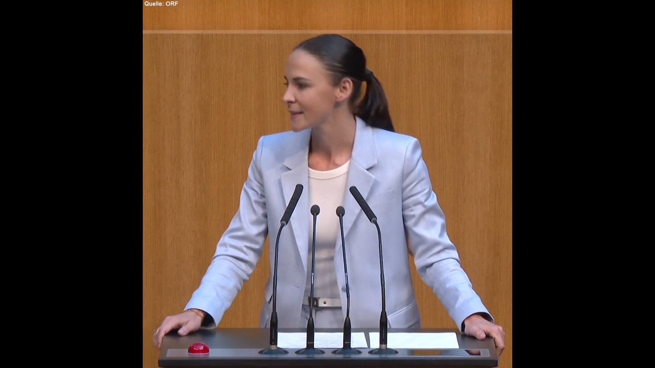 Was macht SPÖ-Babler eigentlich beruflich?