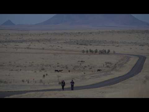 Xylouris White "Tree Song" (Official Music Video)