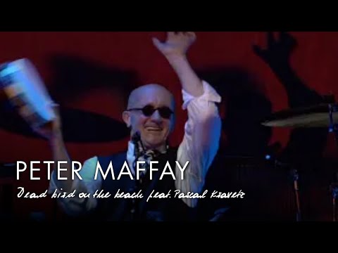 Peter Maffay & Pascal Kravetz - Dead bird on the beach (Live 2009)
