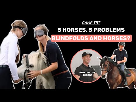 Camp TRT - S1E4 | Leading horses blindfolded? 😰