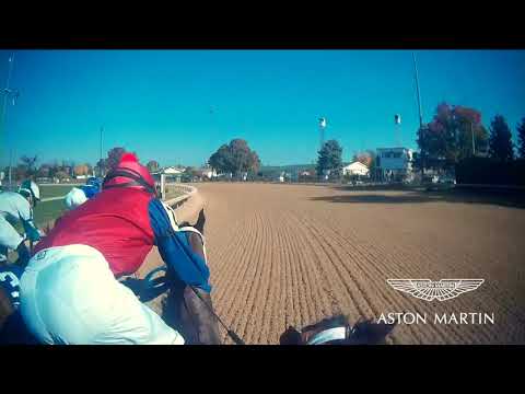 Aston Martin Jockey CAM: Breeders Cup Filly Mare Sprint won by Shamrock Rose