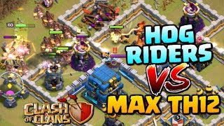 HOG RIDERS vs MAX TOWN HALL 12! Hogs TH12 3 Star Attack Strategy - Clash of Clans Update!