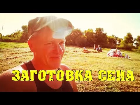 Деревенские будни - Заготавливаем сено / Семья в деревне