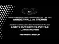 Wonderwall Vs Tremor Lights Out Vs Purple Lamborghini Nightfonix Mashup