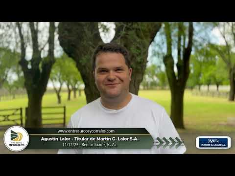 11-12-25 - Agustín Lalor - Titular de Martín G. Lalor . Benito Juarez, Bs.As.