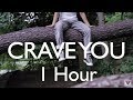 Flight Facilities Crave You Feat Giselle 1 Hour Version