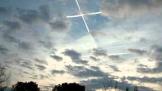 Beth Orton Teds Waltz