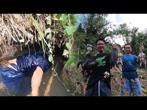 SE02EP13 - UMANI NG HULI SA PANANAMBANG NG BAGONG LUNGGA | San Pablo City, Laguna