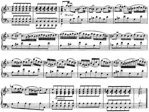[Anna Fusek+Capella Anna] Vivaldi-Bach-Fusek: Concerto in g for Recorder and Strings, LIVE