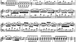 [Anna Fusek+Capella Anna] Vivaldi-Bach-Fusek: Concerto in g for Recorder and Strings, LIVE