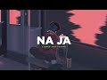 Na Ja (slowed and reverb) | Pav Dharia | Nexus Music