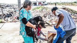 We were at the landfill in Mexico a week ago.