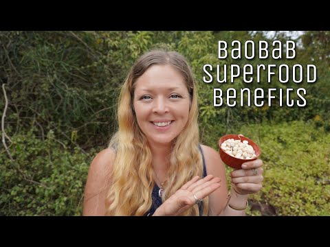 The Incredible Benefits Of Baobab *Superfood Powerhouse!*