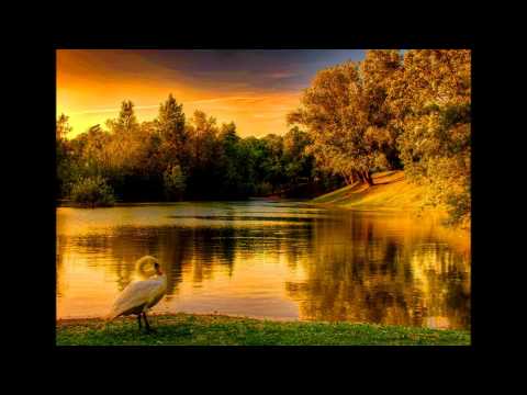 NEW RELAX MUSIC-SOUNDS OF ETERNITY...