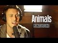 Animals - Cover - Maroon 5 - Music Video Lyrics ...