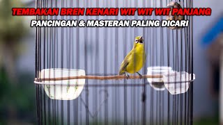Download lagu PANCINGAN PLECI NEMBAK BREN KENARI WIT WIT WIT PANJANG, MASTERAN PALING DICARI mp3