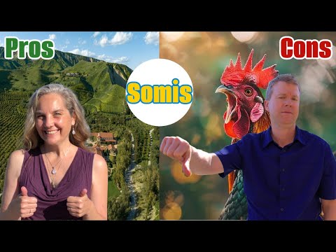 Living in Somis, California | Pros & Cons of This Hidden Gem in Ventura County