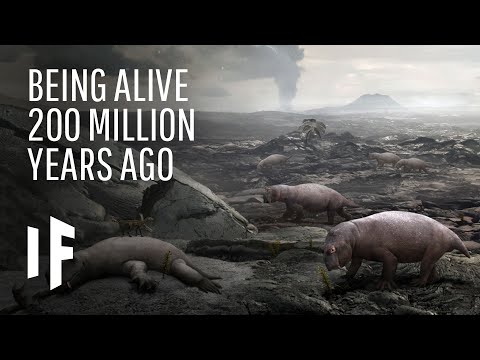 What If You Were Alive 200 Million Years Ago