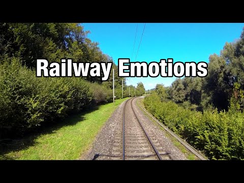 🚆 Durch das Zürcher Oberland (Führerstandsmitfahrt Schweiz | S3 Wetzikon - Zürich - Aarau)