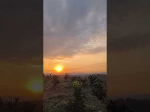 🚩 SÃO SEBASTIÃO DO CAÍ - RS.