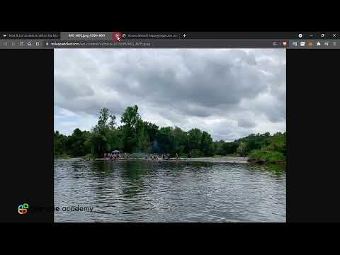 What are NFTs Lesson 01 Fundamentals of NFTs Learn How to Setup Create Sell Buy NFTs