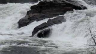preview picture of video 'Målselvfossen 6/6 2010'