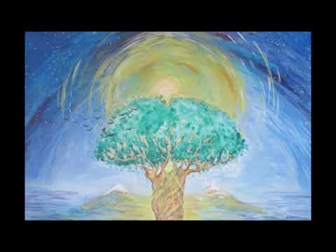 New Morning LTD video.