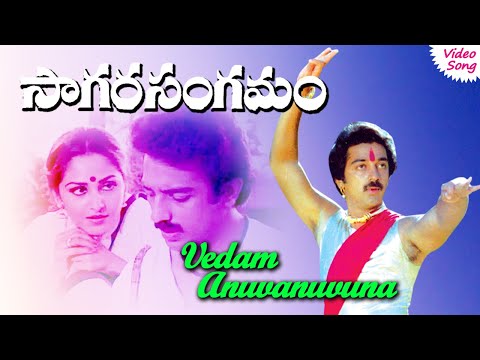 Vedam Anuvanuvuna video song | Sagara Sangamam Telugu | Phoenix Music