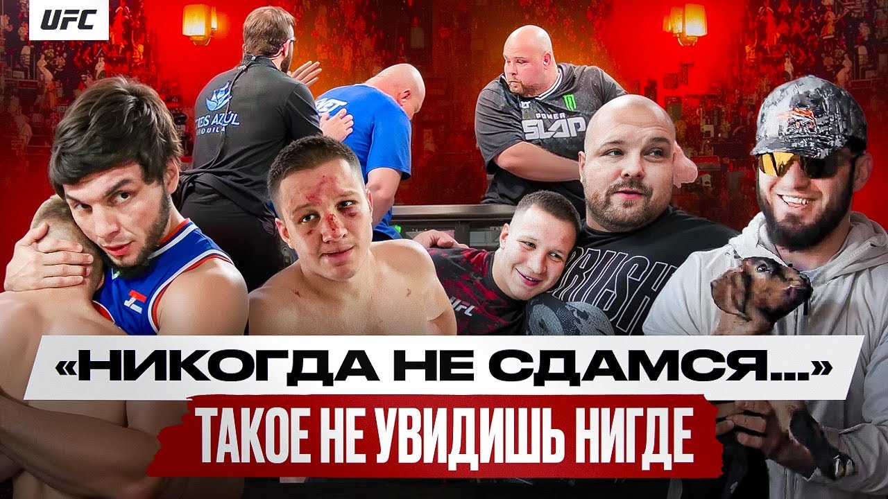 Обращение к Махачеву от Пельменя, респект Даны Уайта, безумие на трибуне, Вол