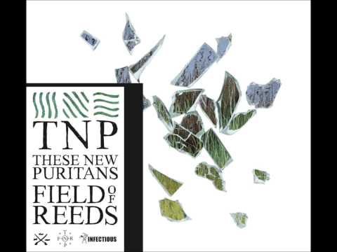 These New Puritans - The Light in Your Name