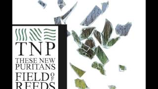 These New Puritans - The Light in Your Name