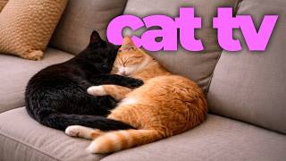🐱 Cat TV | Birds & Nature Videos for Cats with Calming Music | Cat Entertainment & Enrichment