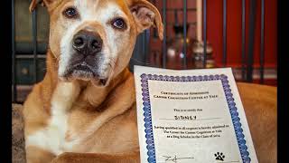 Weezer - I Don&#39;t Want To Let You Go (Jacknife Lee Version)