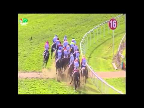 2015 BRC Queensland Derby _ Magicool