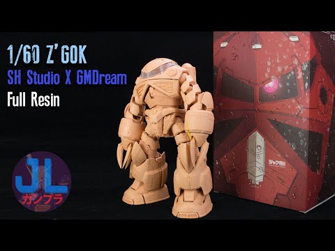 1/60 Z'Gok Resin Kit Unboxing & Test Fitting Review | Beginner Level Resin?