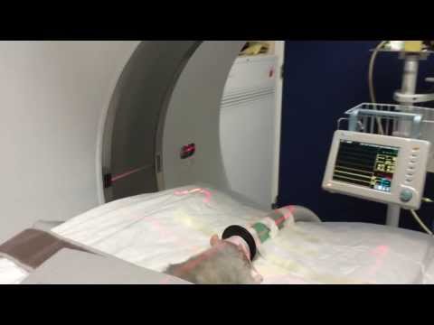 comment soigner pododermatite lapin