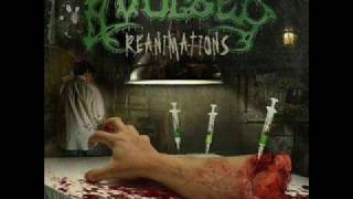 Avulsed - Piranha (Exodus cover)