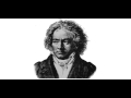 Ludwig van Beethoven - Symphony No. 5 in C minor, Op. 67, "Fate" Allegro Con Brio