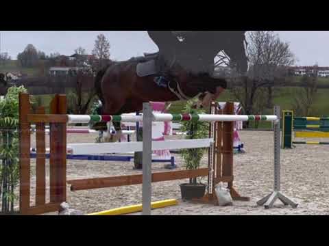 CASCALLO (8yo Cascadello I) Ranking class placed