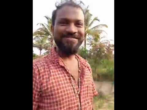 Roque Lazarus Live in the fields of Messi Azavedo and Malbert