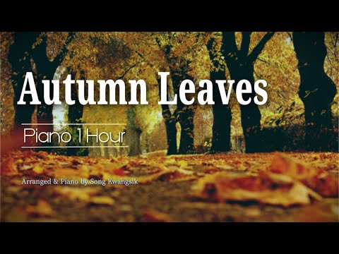 [Piano 1 HOUR]  Autumn Leaves / 고엽 / 피아노로 그려보는 가을 노래  / Autumn songs on the piano