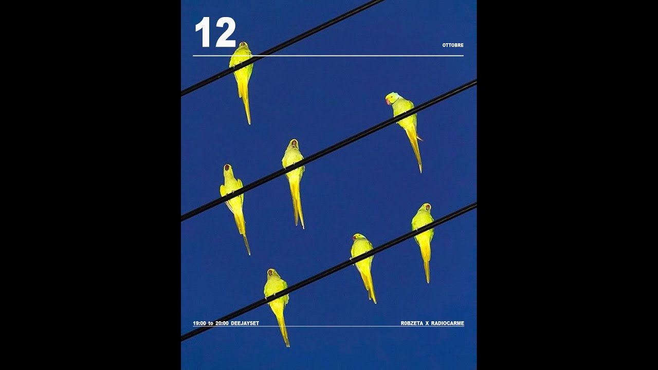 R0BZETA X RADIOCARME