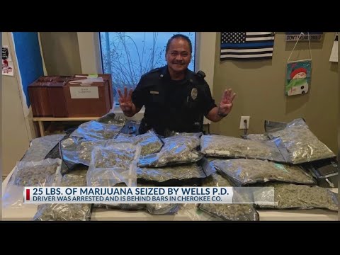 Wells police bust more than 25 lbs. of marijuana during traffic stop