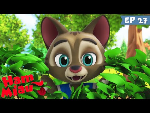 Ham Miau 🐶 Aventuri in padure 🐱 Desene animate pentru copii