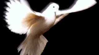 Julio Iglesias Cucurucucu Paloma RARE