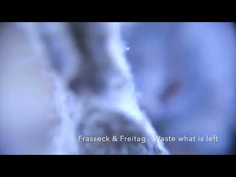 Frasseck & Freitag - Waste what is left