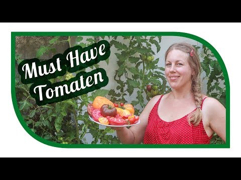 Tomaten erfolgreich anbauen 🍅 mit den richtigen Paradeiser Sorten 🍅 Teil1