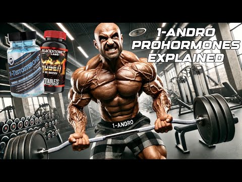 1 Andro Single Compound Prohromones Explained