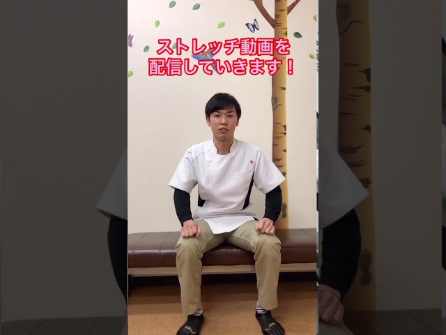 動画サムネイル