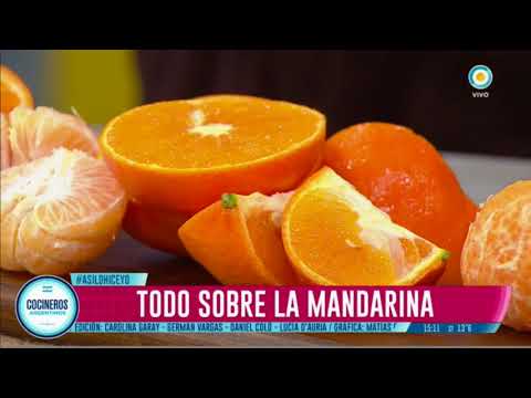 Todo sobre la mandarina